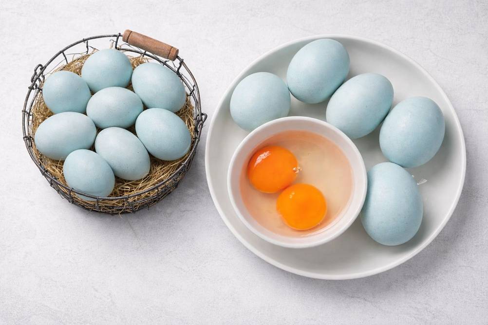 البيض الخام