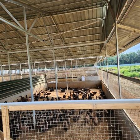 أنظمة مياه نظيفة وتعقيم حظائر مُراقبة