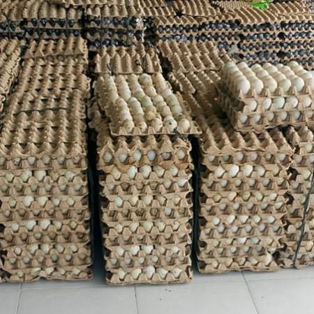 استمرارية إنتاج مضمونة