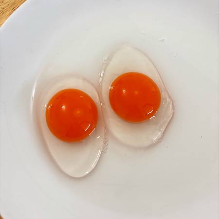 إنتاج بيض عالي الجودة